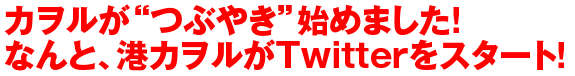 カヲルが“つぶやき”始めました！ なんと、港カヲルがTwitterをスタート！