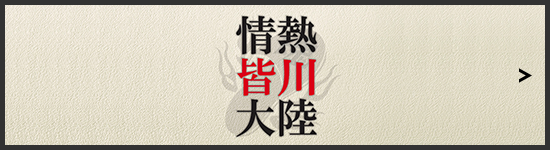 情熱皆川大陸